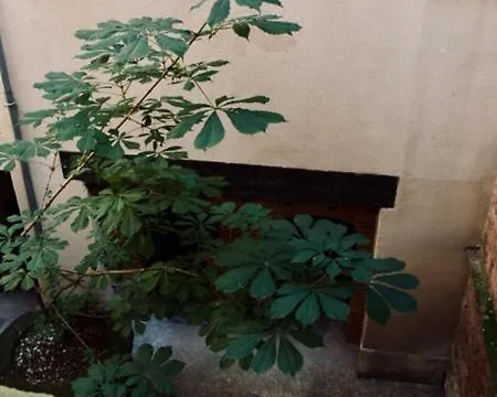 L'escale Des Libellules